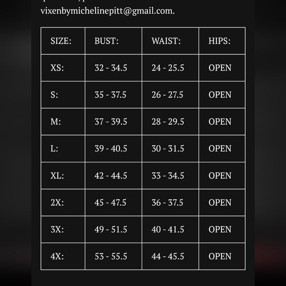 INGENUE DRESS IN BLACK ROSE PRINT - VIXEN BY MICHELINE PITT Size Small - Picture 2 of 2